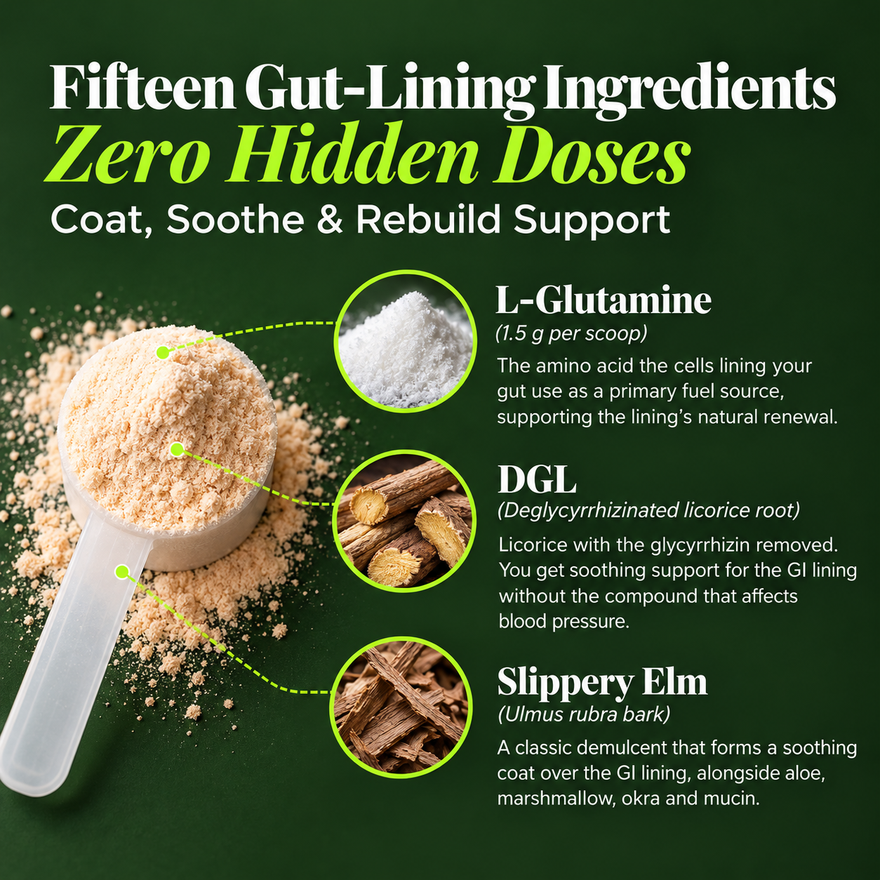 Remodeler Powder Modern Endocrine