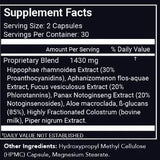StemRegen Release 1 Modern Endocrine