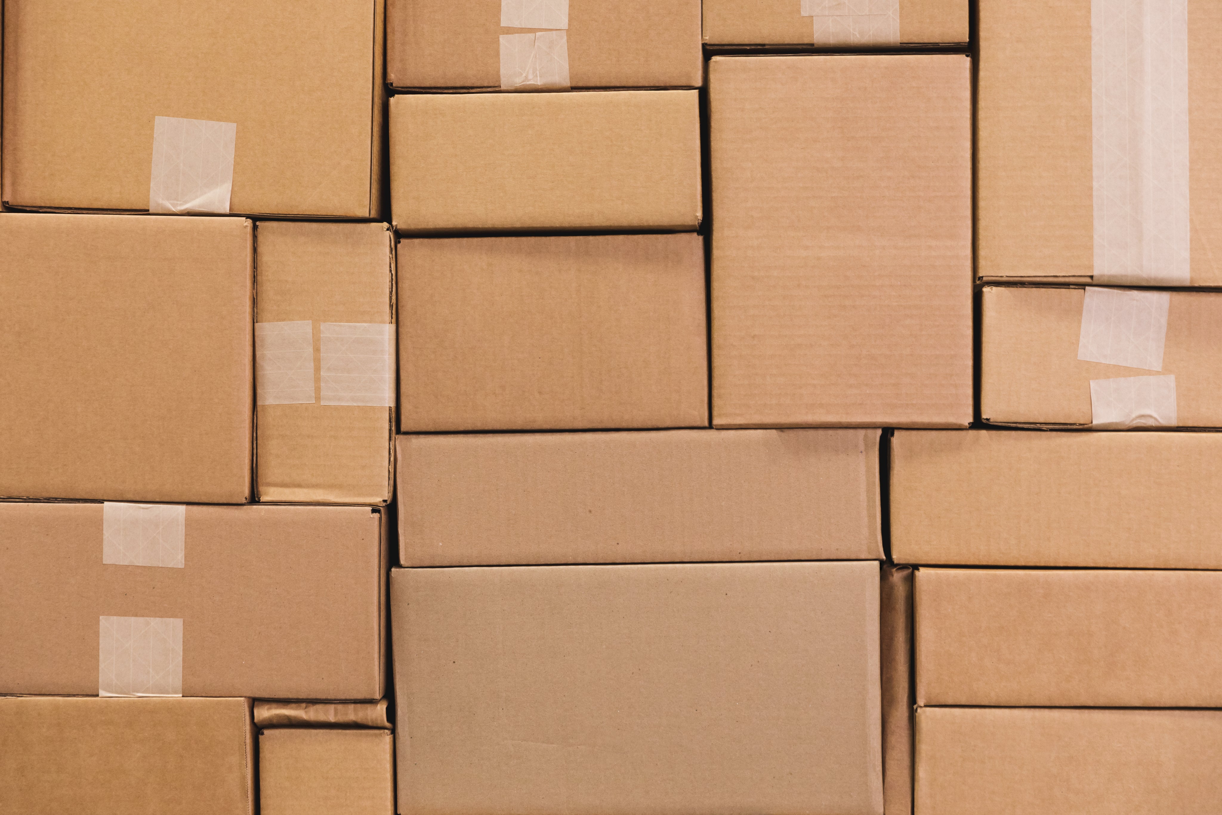 shipping policy of modern endocrine