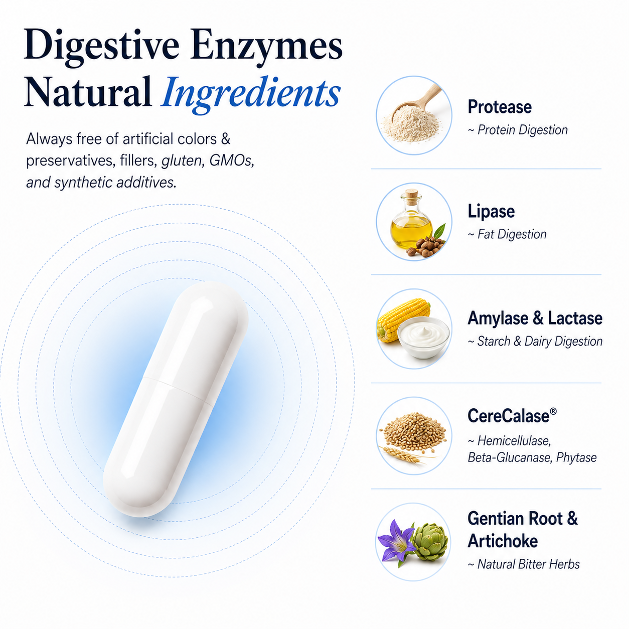 Digestive Enzymes Modern Endocrine